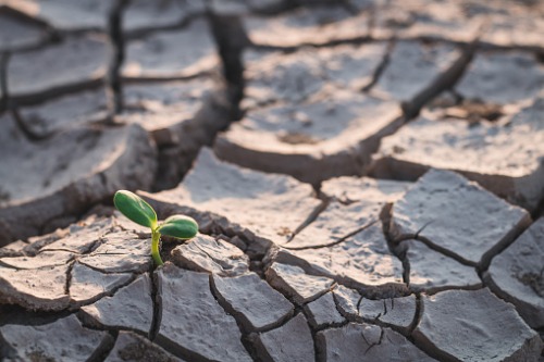 Zurich makes commitment to UN pledge to take on climate change